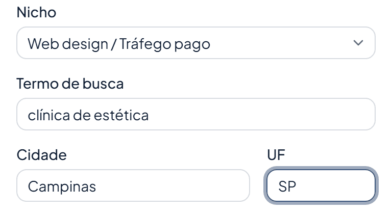Formulário de busca com nicho, termo de busca e cidade